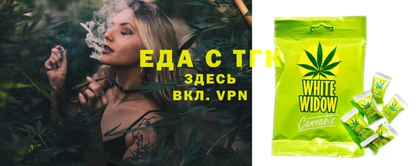 ECSTASY Бородино